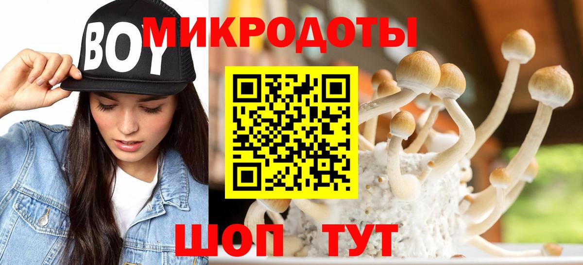 Псилоцибиновые грибы GOLDEN TEACHER  Галлюциногенные грибы ЛСД  Новошахтинск  где купить наркотик  Вход с VPN 